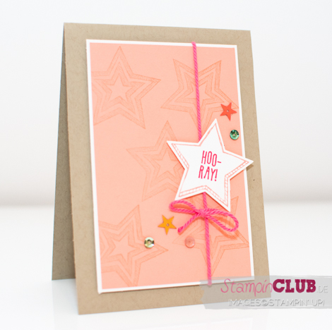 20141116 Stampin Up Be the Star Downline Cards Sequin Assortment Embellishment Pailetten In Color_