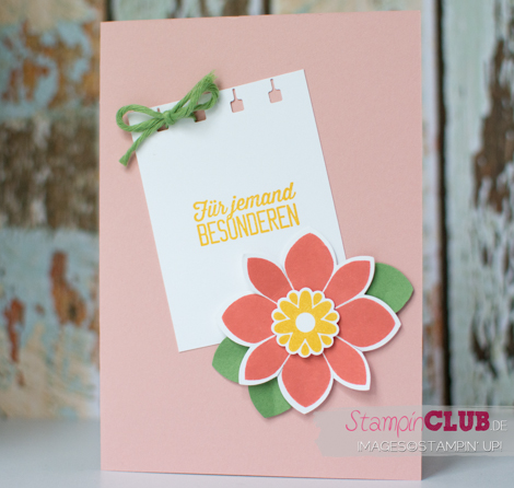 20150315 Stampin Up Petal Potpourri_