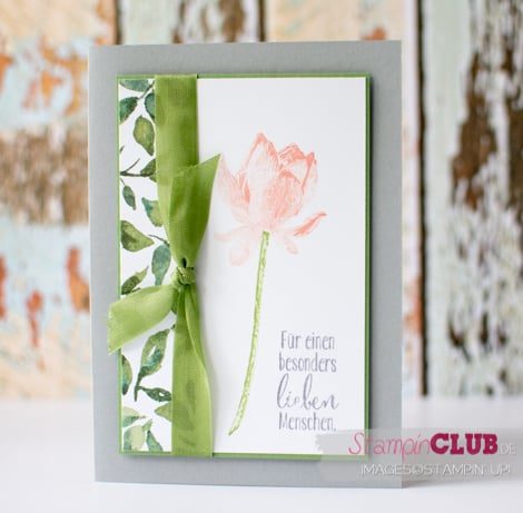 20150315 Stampin Up sale-a-bration 2015 Lotus Blossom So froh Painted Blooms DSP Zarter Frühling Petty Bennett_-2