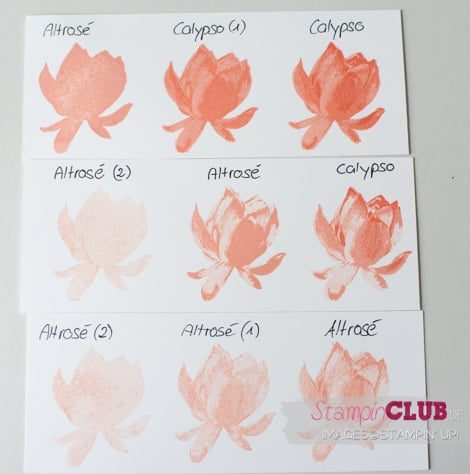 20150315 Stampin Up sale-a-bration 2015 Lotus Blossom So froh Painted Blooms DSP Zarter Frühling Petty Bennett_