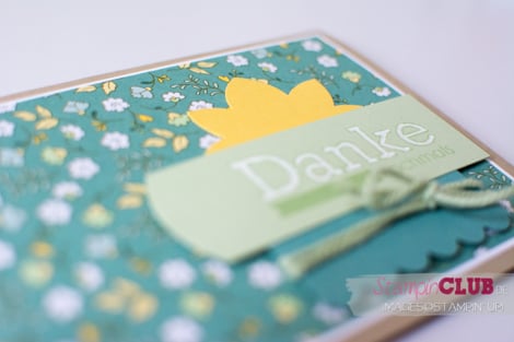 20150415 Stampin Up Gelegenheit macht Grüße Aufgeblüht Designerpapier_-3