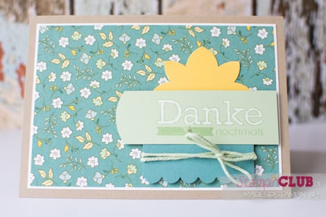 20150415 Stampin Up Gelegenheit macht Grüße Aufgeblüht Designerpapier_