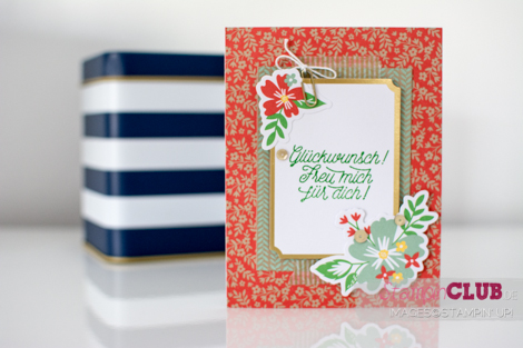 20160604 Stampin Up Projektset Designer-Grusselemente Designer Tin of Cards Project Kit_-2