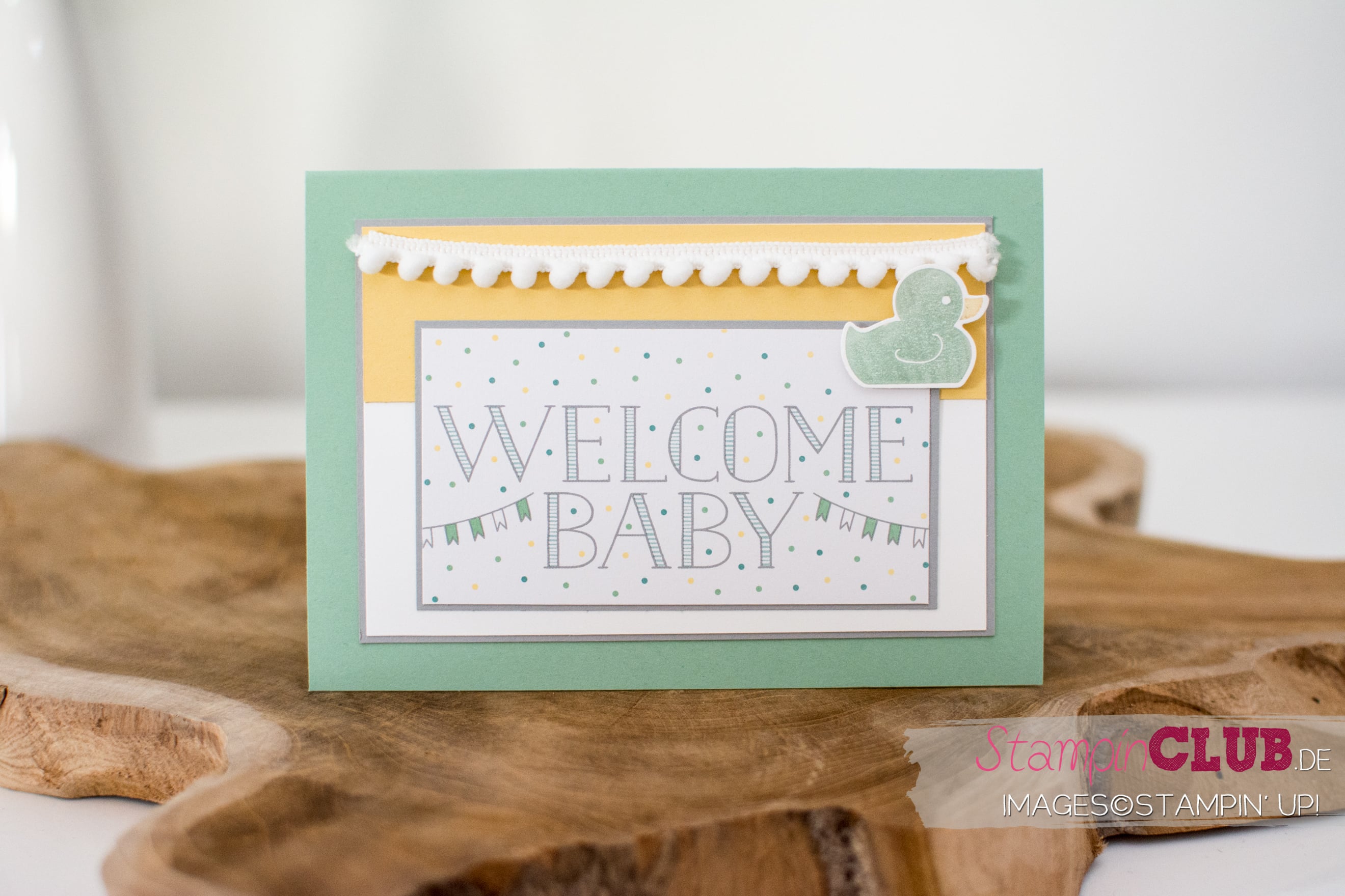 20160809-StampinClub-Stampin-Up-Karten-Kollektion-Projekt-Life-Hallo-Baby-fuer-Jungen_