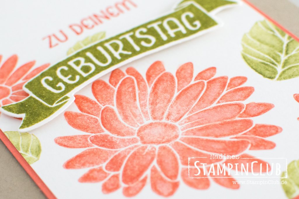 Stampin' Up!, StampinClub, Besondere Grüsse, Special Reason, Grüße rund ums Jahr, Time of Year