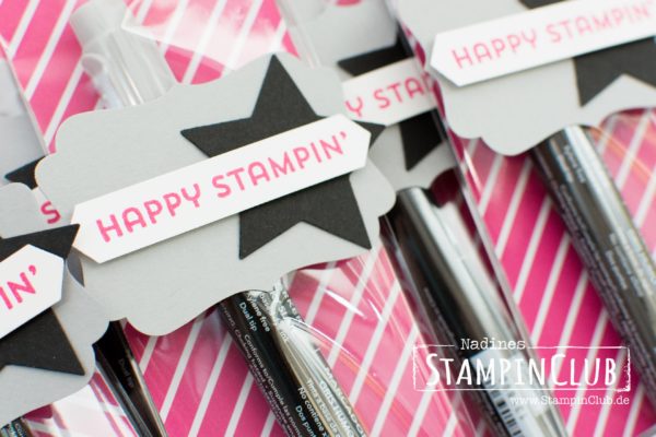 Stampin' Up!, StampinClub, Pink mit Pep, Best Decision Ever