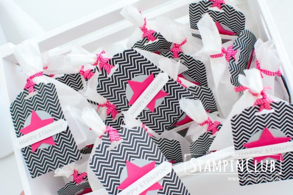Stampin' Up!, StampinClub, Pink mit Pep, Best Decision Ever, Goodies