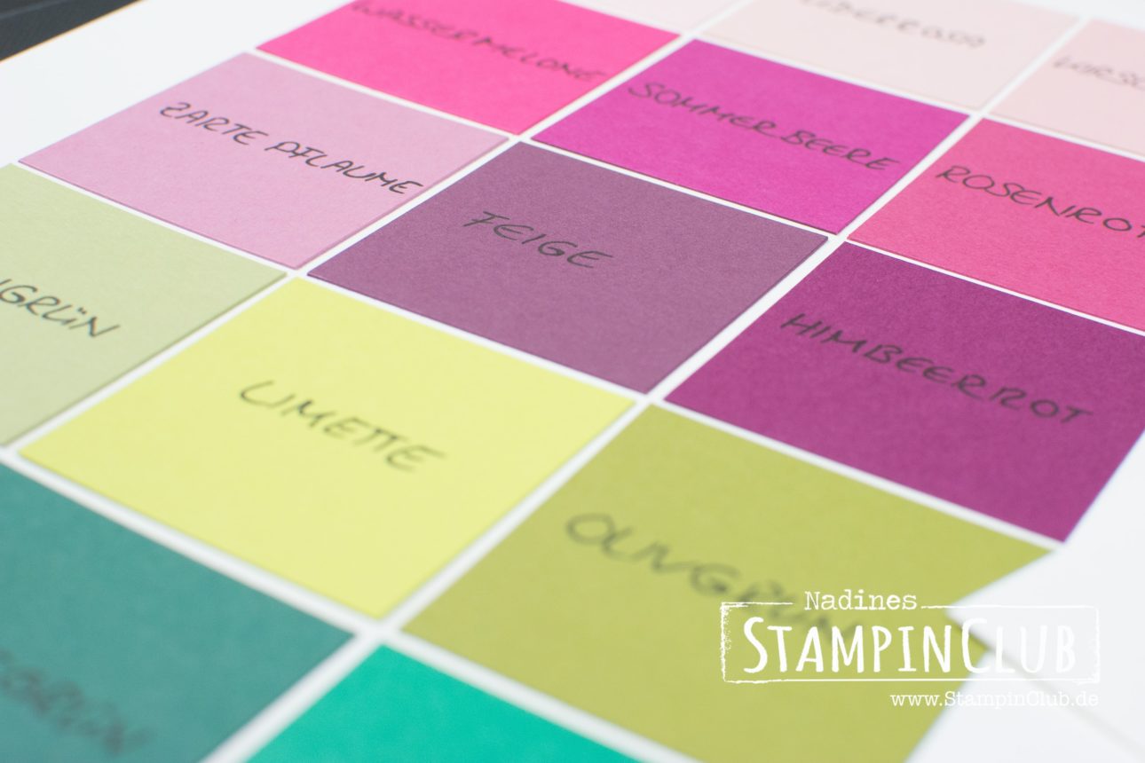 Vorstellung Stampin' Up! In Color 20172019 • Stampin