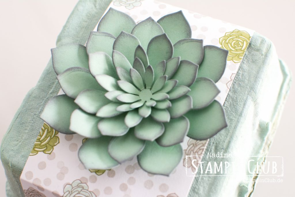 Stampin' Up!, StampinClub, Designerpapier Sukkulentengarten, Succulent Garden DSP, Framelits Sukkulenten, Succulent Framelits Dies, Eierkartons