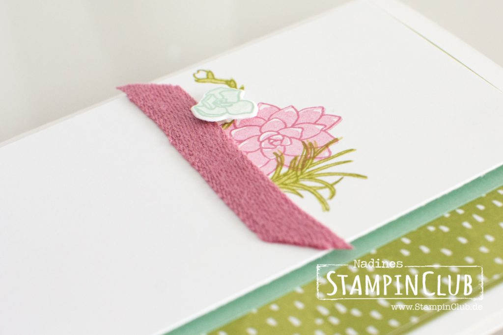 Stampin' Up!, StampinClub, Designerpapier Sukkulentengarten, Succulent Garden DSP, Sukkulente Akzente, Oh so succulent