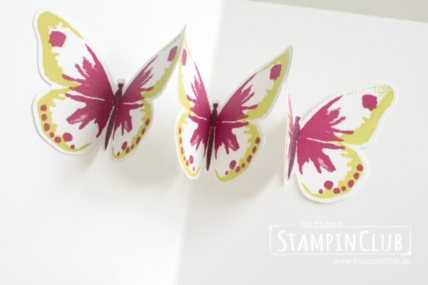 Stampin Up, StampinClub, Watercolor Wings, Pop-Up Karte, Pop-Up Card
