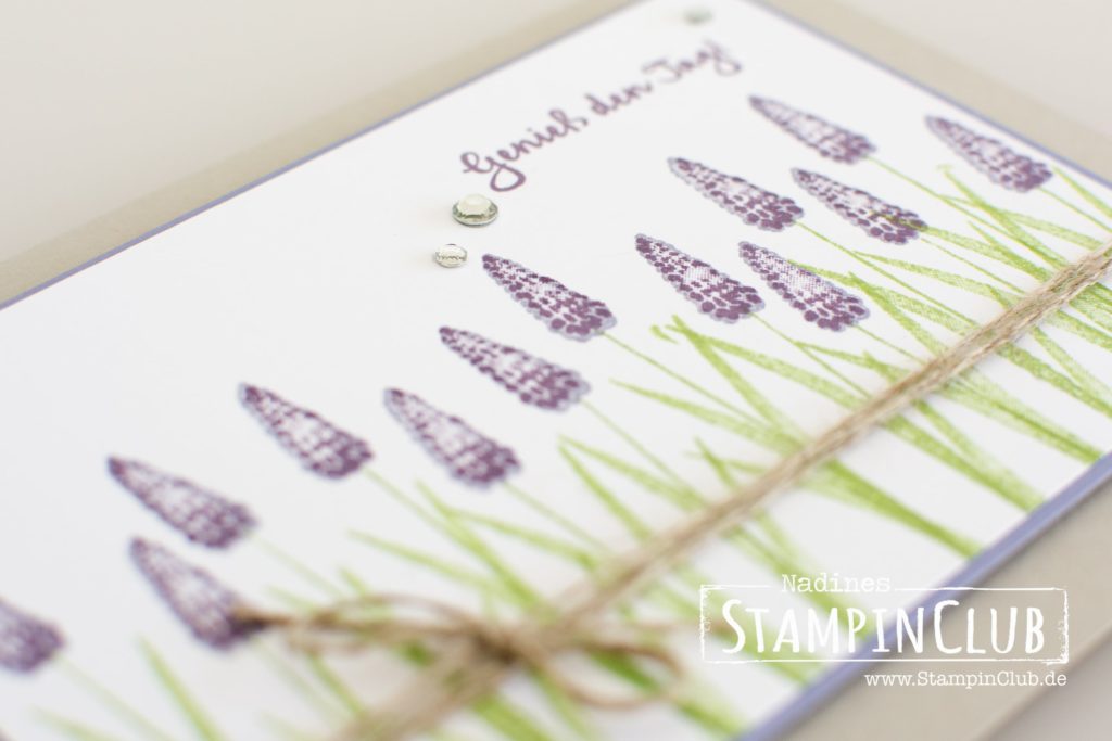 Stampin' Up!, StampinClub, Dies & Das, Pieces & Patterns, Tranquil Tulips