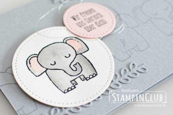 Stampin' Up!, Tierische Glückwünsche, A Little Wild
