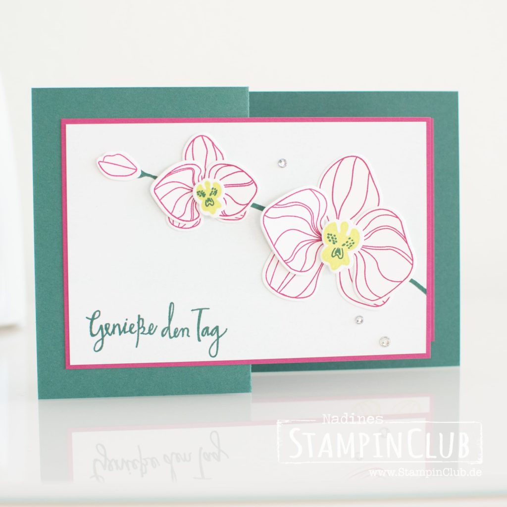 Stampin' Up!, StampinClub, Orchideenzweig, Climbing Orchid, Framelits Orchideenblüten, Orchid Buider Framelits