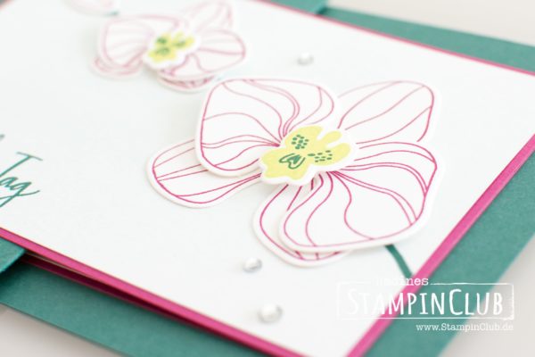 Stampin' Up!, StampinClub, Orchideenzweig, Climbing Orchid, Framelits Orchideenblüten, Orchid Buider Framelits