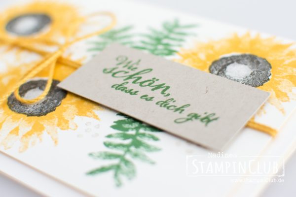 Painted Harvest, StampinClub, Stampin' Up!, Herbstanfang