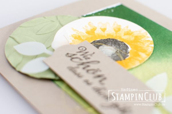 Herbstanfang, Stampin' Up!, StampinClub, Painted Harvest
