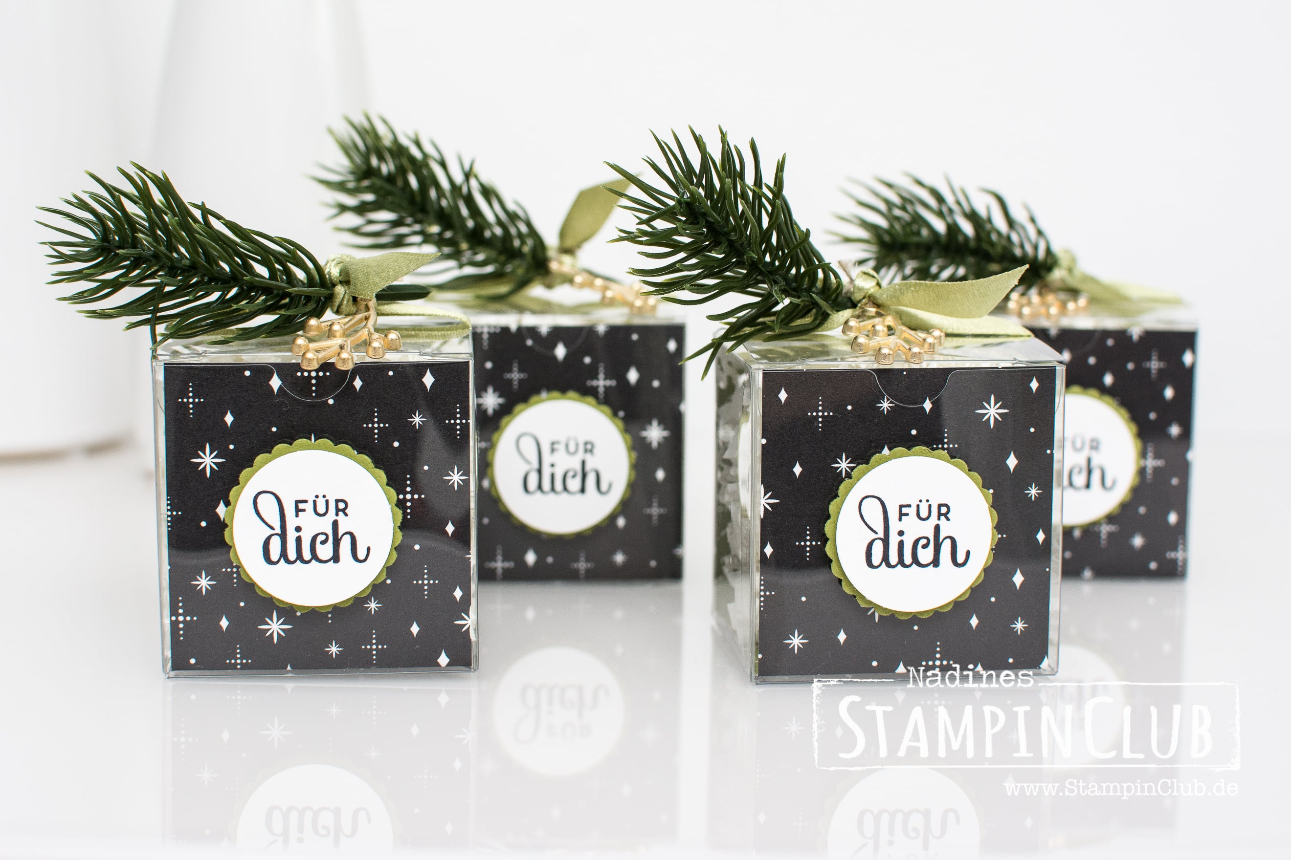 20171225 Stampin Up Stampinclub Goodies Tortentraum Cake Soiree Frohes Fest Ideen Mit Anleitungen Und Onlineshop 