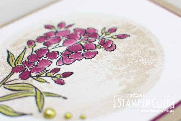 Stampin' Up!, StampinClub, Southern Serenade, One Layer