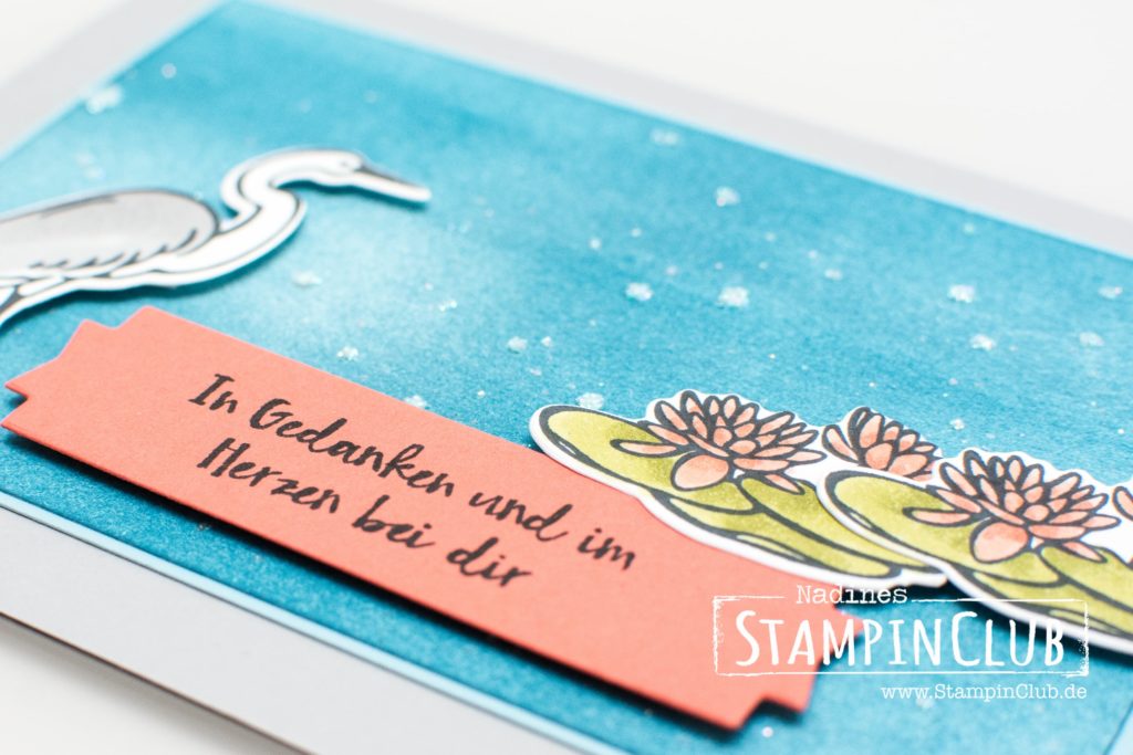 Stampin Up, StampinClub, Am Seerosenteich, Lilypad Lake