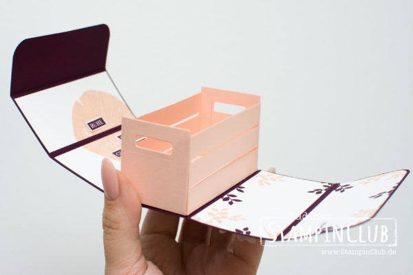 Stampin' Up!, StampinClub, Kraft der Natur, Rooted in Nature, Holzkiste,Wood Crate