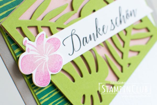 Stampin' Up!, StampinClub, Tropenflair, Traumhaft Tropisch