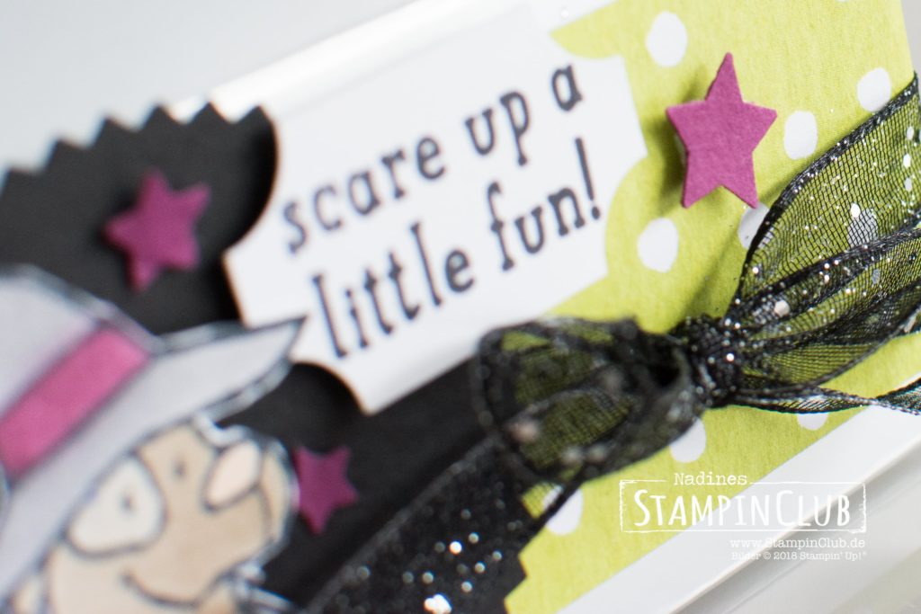 Stampin' Up!, StampinClub, Trick or Tweet, DP Wie verhext