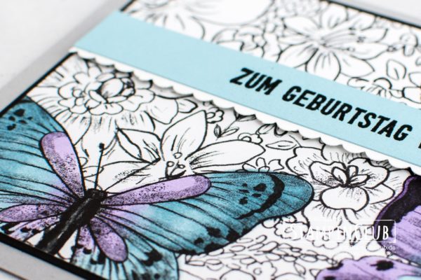 Stampin' Up!, StampinClub, Sale-A-Bration, Designerpapier Schmetterlingsvielfalt, Botanical Butterfly DSP, Geburtstagsmix, Itty Bitty Birthdays