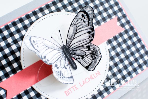 Stampin' Up!, StampinClub, DP Schmetterlingsvielfalt, Wortreich, Framelits Formen Stickmuster