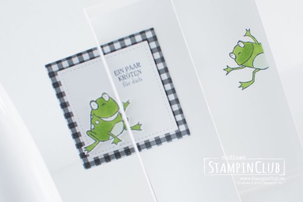 Stampin' Up!, StampinClub, Flip-Flop-Karte, Froschkönig, DP Schmetterlingsvielfalt, Stickmuster, Geburtstagsmix