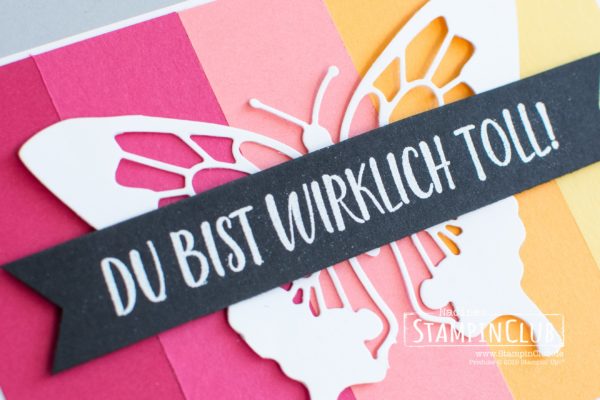 Stampin' Up!, StampinClub, In Schönschrift, Calligraphy Essentials, Color Blocking