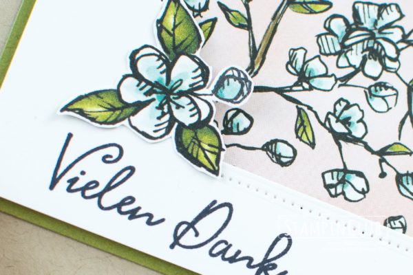 Stampin' Up!, StampinClub, Frei wie ein Vogel, Free as a bird, Stanzform Raffiniert bestickte Rahmen, Stitched Nested Labels Dies, Designerpapier Vogelgarten, Bird Ballad DSP