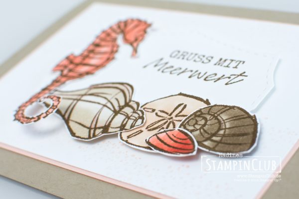 Stampin' Up!, StampinClub, Mit Meerwert, Seaside Notions, Stanzformen Wildrosentraum, Wild Rose Dies
