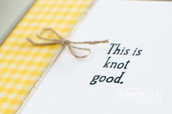 Stampin' Up!, StampinClub, Back on your feet