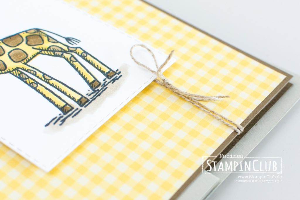 Stampin' Up!, StampinClub, Back on your feet