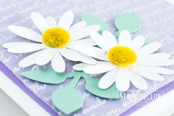 Stampin' Up!, StampinClub, Gänseblümchenglück, Daisy Lane, Stanze Mittelgroßes Gänseblümchen, Medium Daisy Punch, Prägeform Schreibschrift 3D, Scripty 3D Embossing Folder