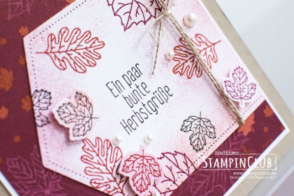 Stampin' Up!, StampinClub, Stanzformen Raffiniert bestickte Rahmen, Designerpapier Herbstfreuden, Come To gather DSP, Für Herbst und Winter, To every season, Stanzenpaket für jede Jahreszeit, Every Season Punch Pack