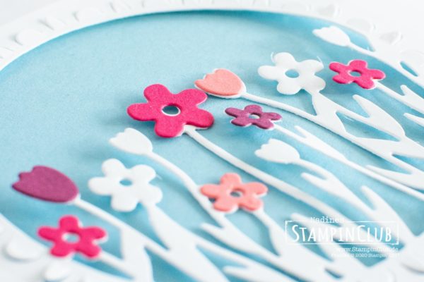 Stampin' Up!, StampinClub, Stanzformen Blumenwiese, Sending Flowers Dies, Verpackung
