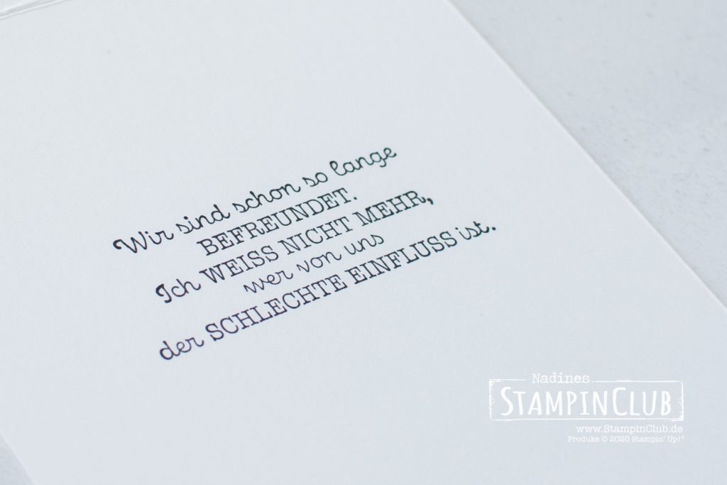 Stampin' Up!, StampinClub, Geheimnis der Freundschaft, Thanks for the Laughs, Stanzformen So hübsch bestickt