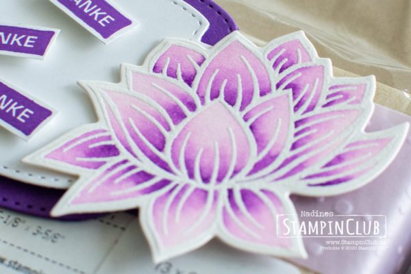 Stampin' Up!, StampinClub, Lovely Lily Pad, Stanzformen Seerose, Alles im Block, Stanzformen So hübsch bestickt, Besonderes Designerpapier Pergamentpassion, So very Vellum Speciality DSP, Aqua Painter