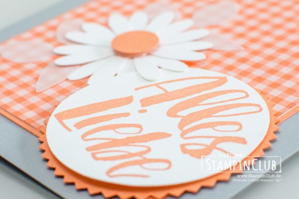 Stampin Up, StampinClub, In Color, Kraft der Natur