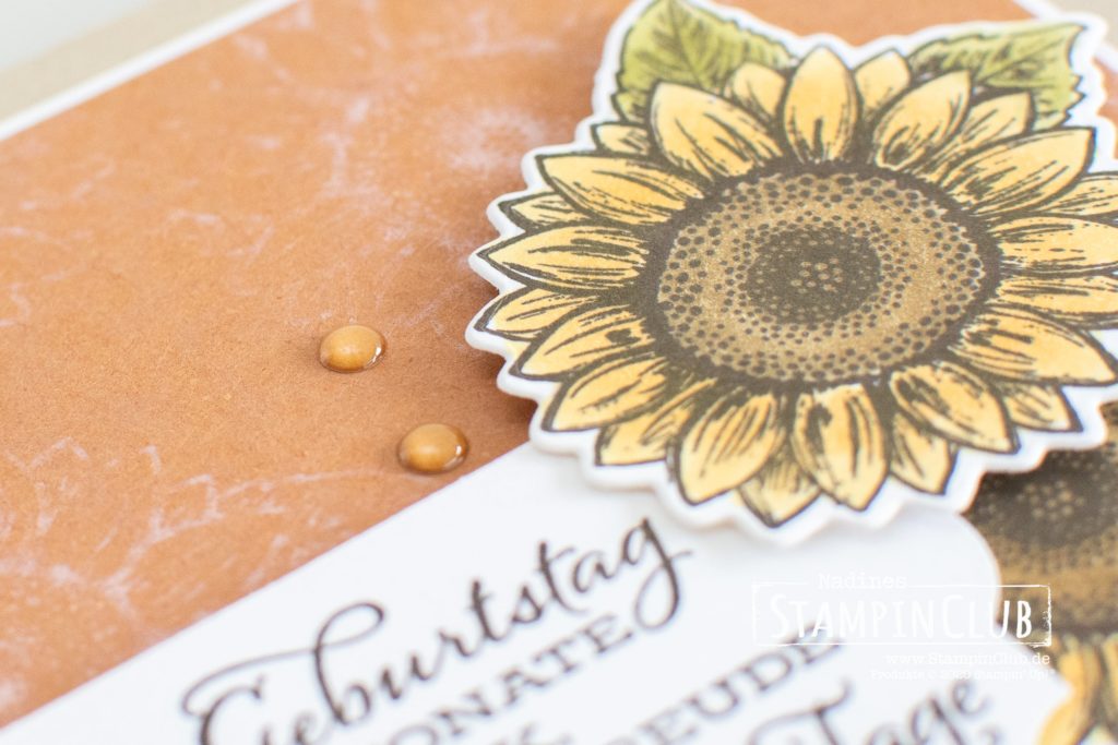 Stampin' Up!, StampinClub, Bleiche, Bleach, mit Bleiche stempeln, Gute-Laune-Gruss, Celebrate Sunflowers, Stanzformen Sonnenblumen, Sunflowers Dies, Stampin' Blends