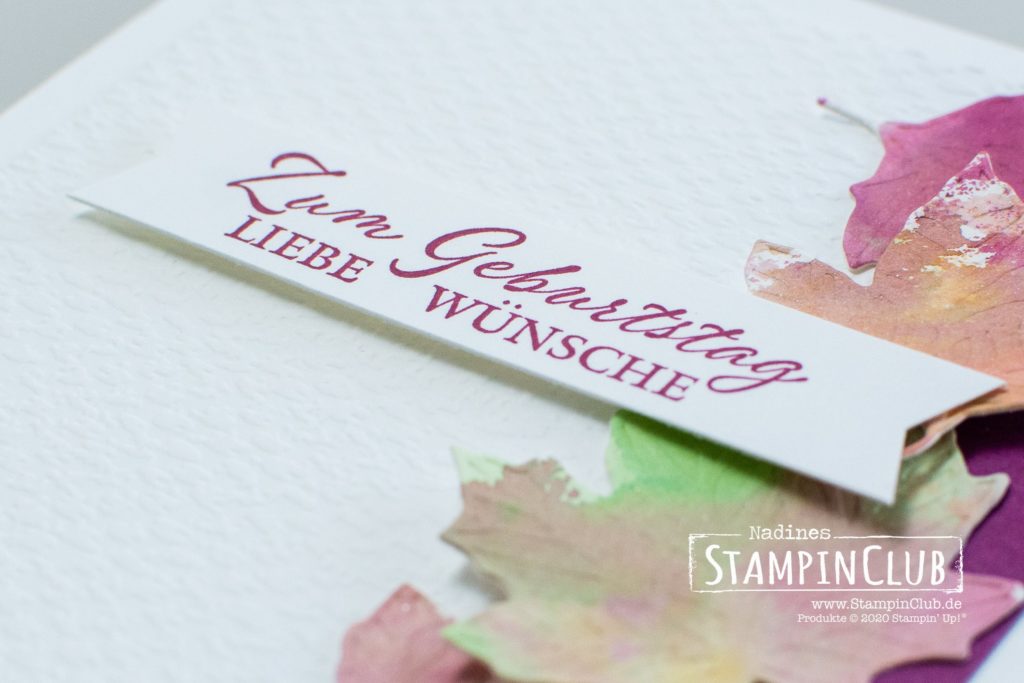 Stampin' Up!, StampinClub, Stanzformen Herbstlaub, Traumblüten, Gorgeous Posies