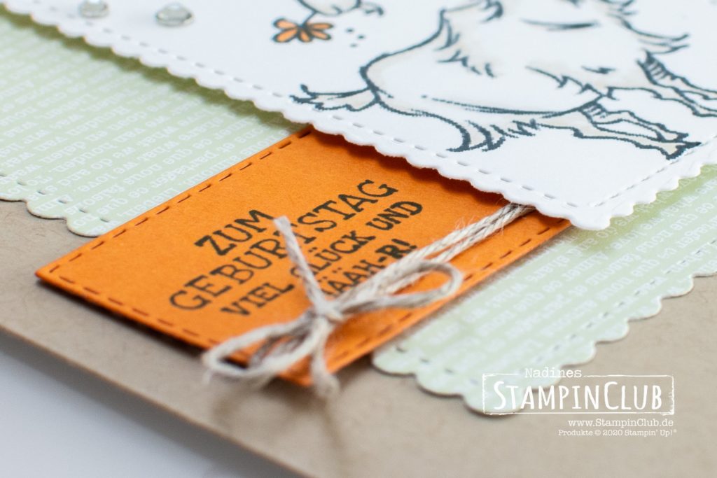 Stampin' Up!, StampinClub, Nix zu meckern, Way to Goat, Stanzformen So hübsch bestickt, Stanzformen Bestickte Rechtecke