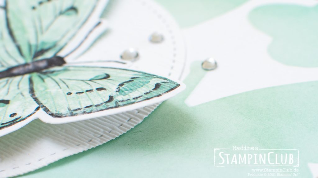 Stampin' Up!, StampinClub, Stanzformen Fabelhafte Falter, Brilliant Wings Dies, Schön Schwungvoll, Quite Curvy, Stanzformen mit Schwung, Curvy Dies