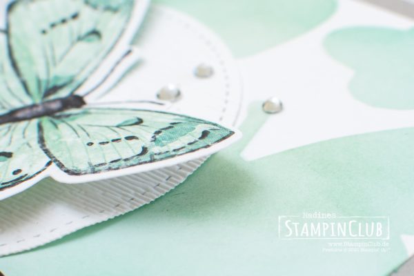 Stampin' Up!, StampinClub, Stanzformen Fabelhafte Falter, Brilliant Wings Dies, Schön Schwungvoll, Quite Curvy, Stanzformen mit Schwung, Curvy Dies