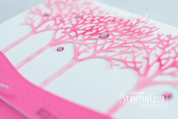 Stampin' Up!, StampinClub, Gedanken und Grüße, Inspired Thoughts, Stanzformen Unter den Bäumen, Inspiring Canopy Dies