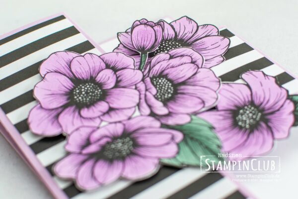 Stampin' Up!, StampinClub, Designerpapier Mustermix, Stampin' Blends, Designerpapier Wahre Liebe, True Love DSP
